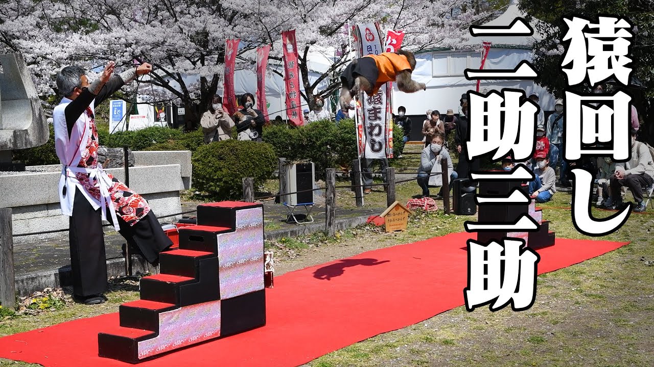 猿回し二助三助 猿回しを初めて見ました