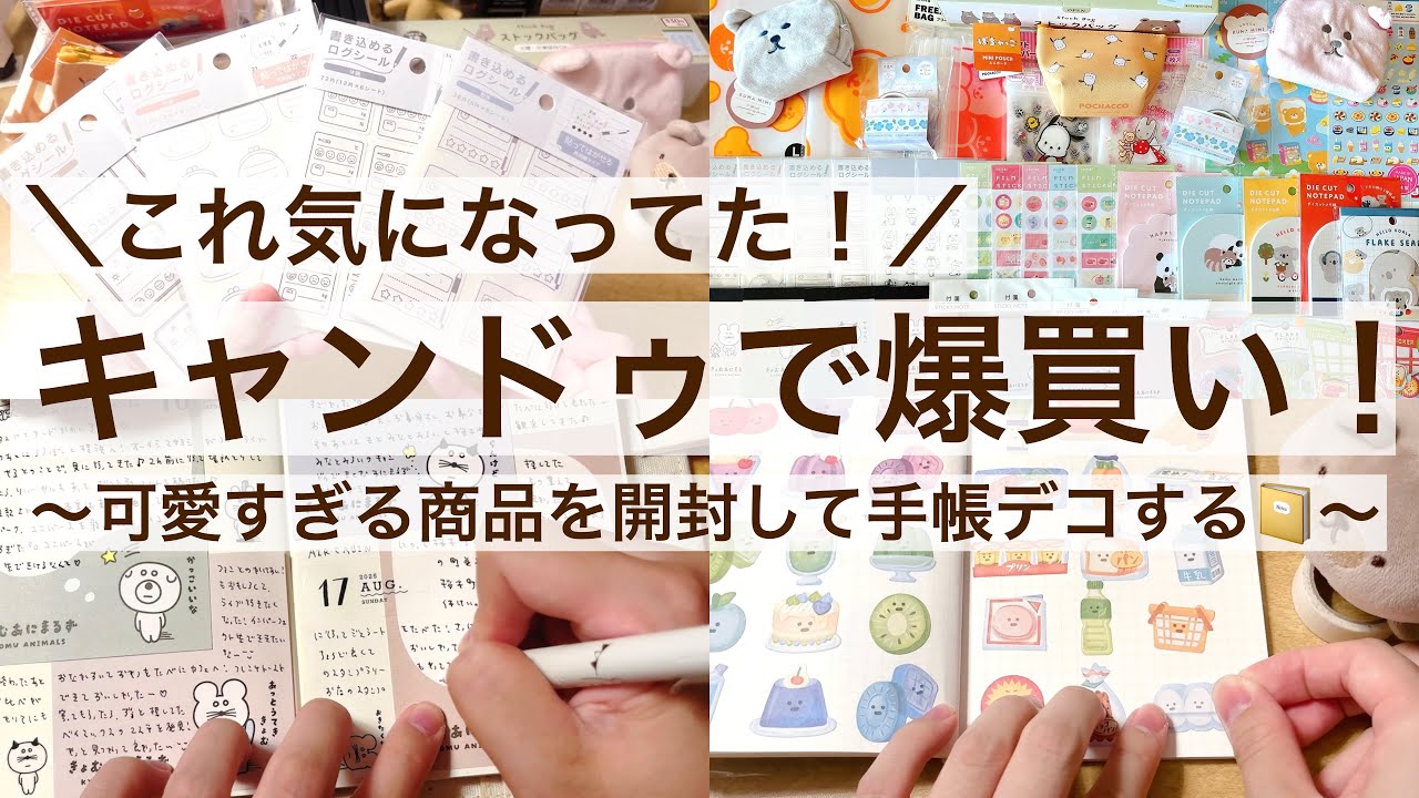 【100均・手帳デコ】これ気になってた！キャンドゥで爆買い！｜可愛すぎる商品を開封して手帳デコ📔 2559