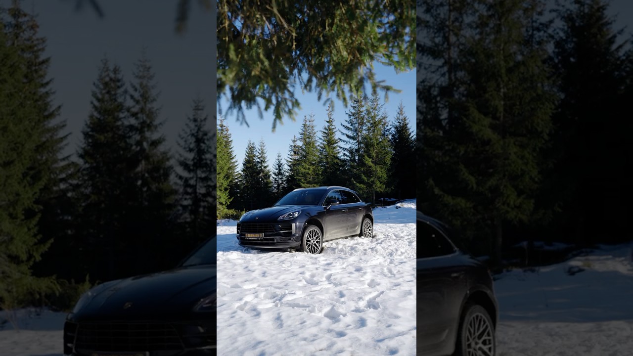 Dealer Auto Masini Premium 2024