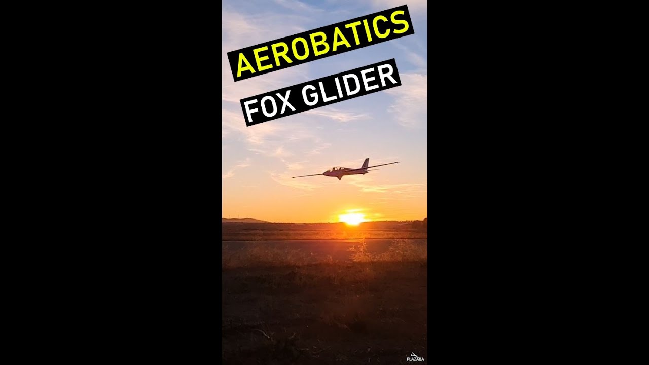 Aerobatic FOX  Flight!!!