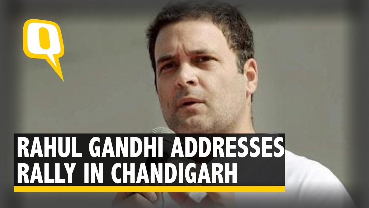 Congress president Rahul Gandhi Addresses Rally in Chandigarh