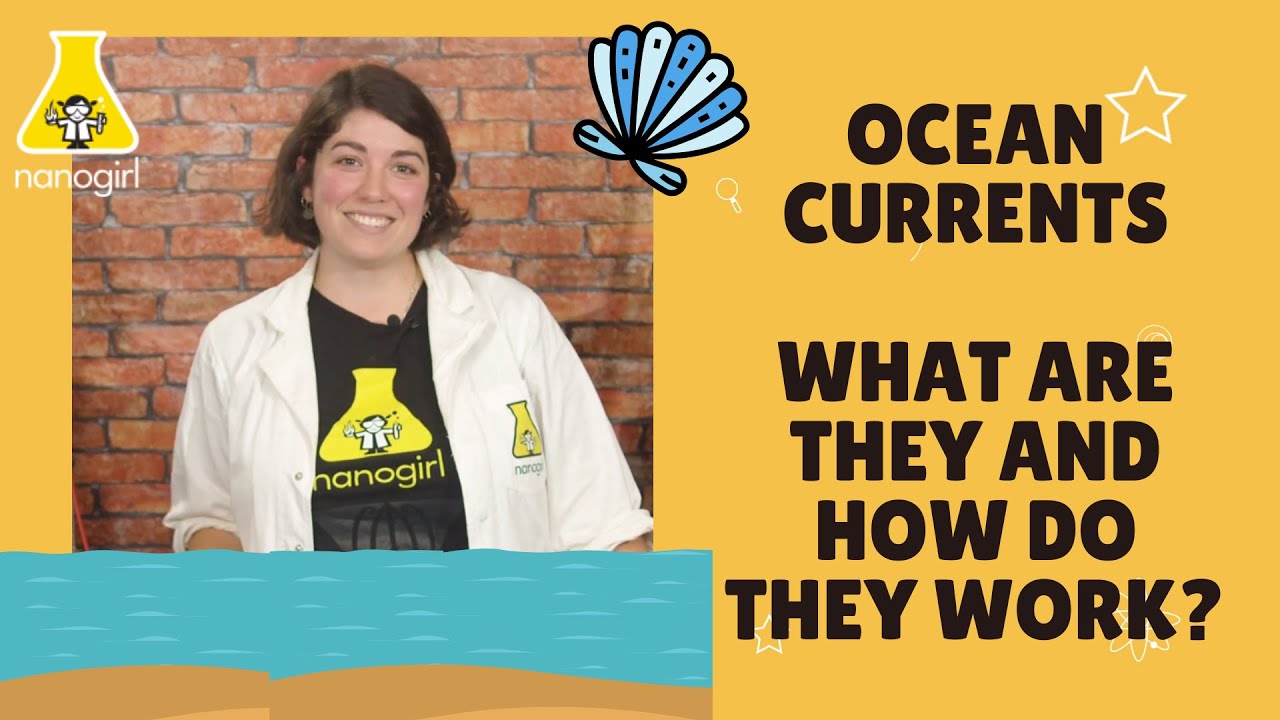 Easy Ocean Currents Science Experiment - What are Ocean Currents and How Do They Work?