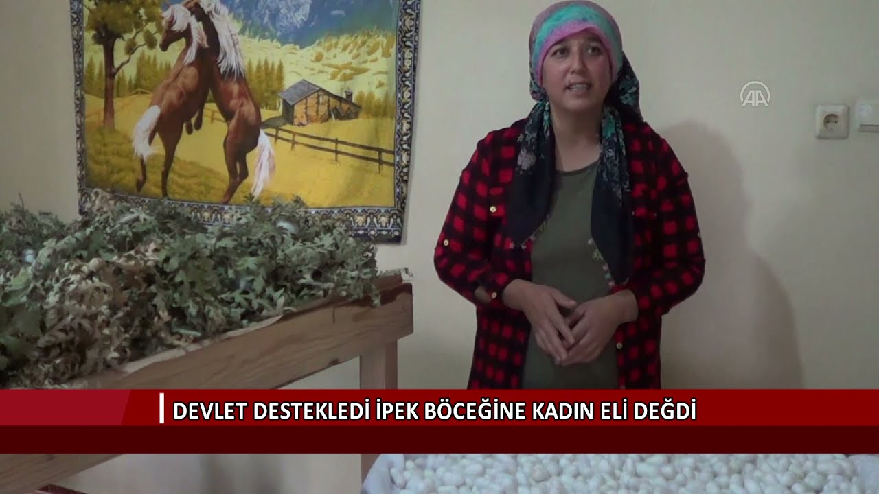 Devlet destekledi ipek böceğine kadın eli değdi