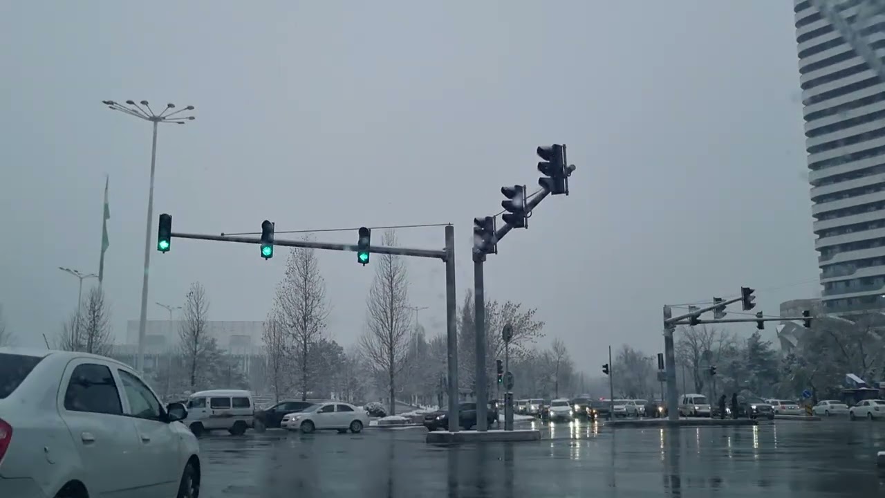 Ташкентский снег ❄️ 