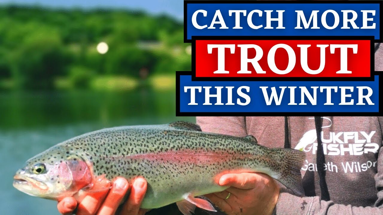 Fly Fishing for Winter Trout - Woolaston Trout Fishery - UKFlyFisher