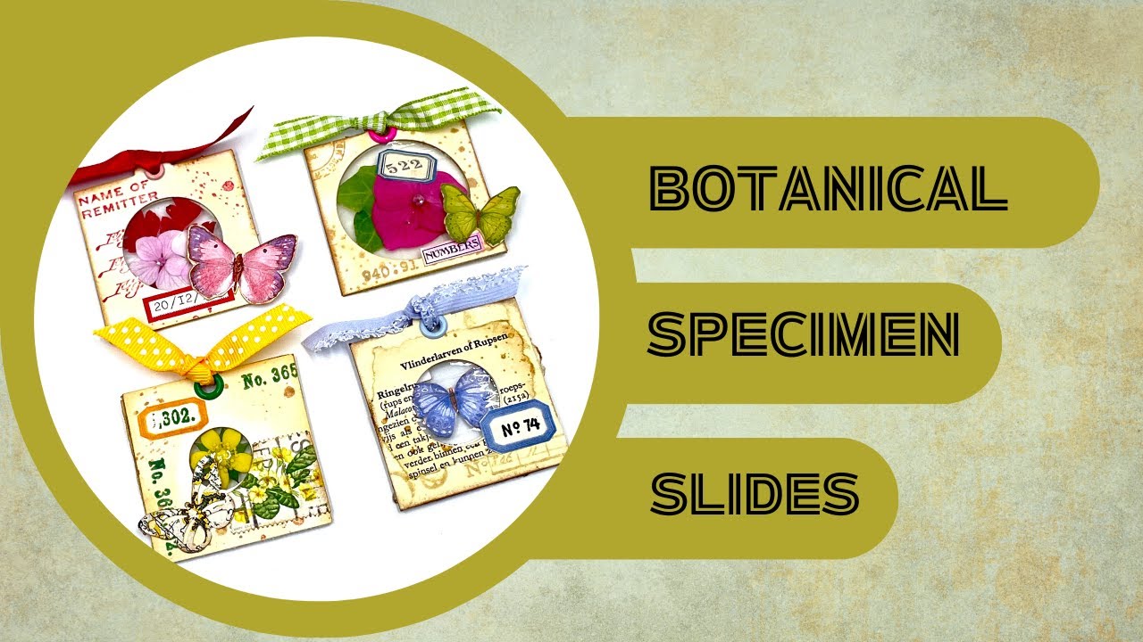 LET'S MAKE - BOTANICAL SPECIMEN SLIDES FROM COIN HOLDERS #craftwithme #junkjournal #papercraft