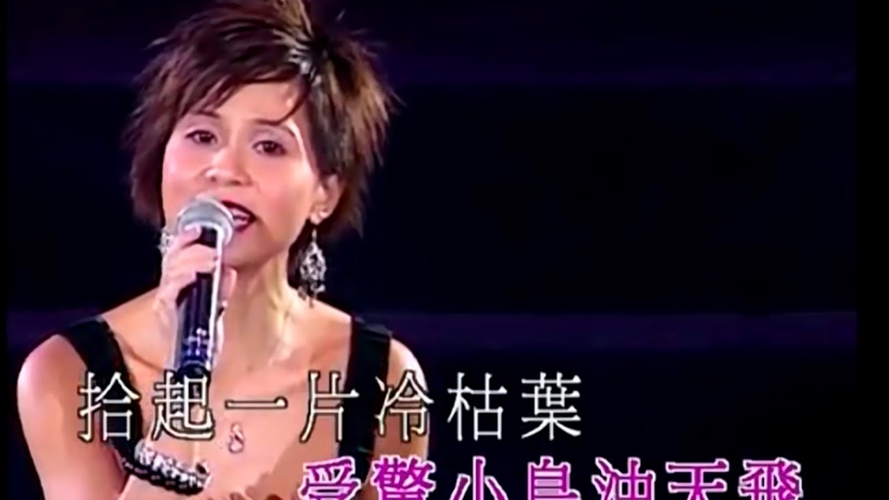 願君真愛不相欺丨李麗蕊丨張偉文唱好女人演唱會