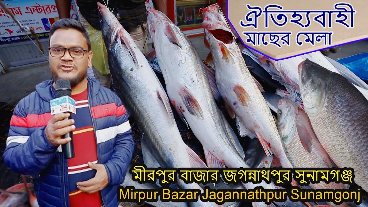 Fish Mela in Mirpur Sylhet Bangladesh 2024 | মাছের মেলা মিরপুর বাজার জগন্নাথপুর সুনামগঞ্জ