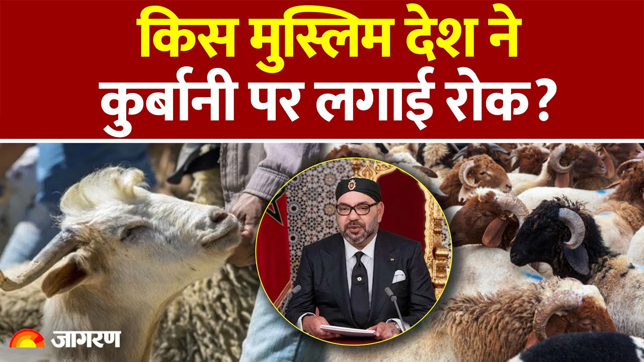 Bakra Qurbani Controversy: बकरीद पर कुर्बानी नहीं देंगे - Morocco | Bakrid | Eid 2025 | Hindi News
