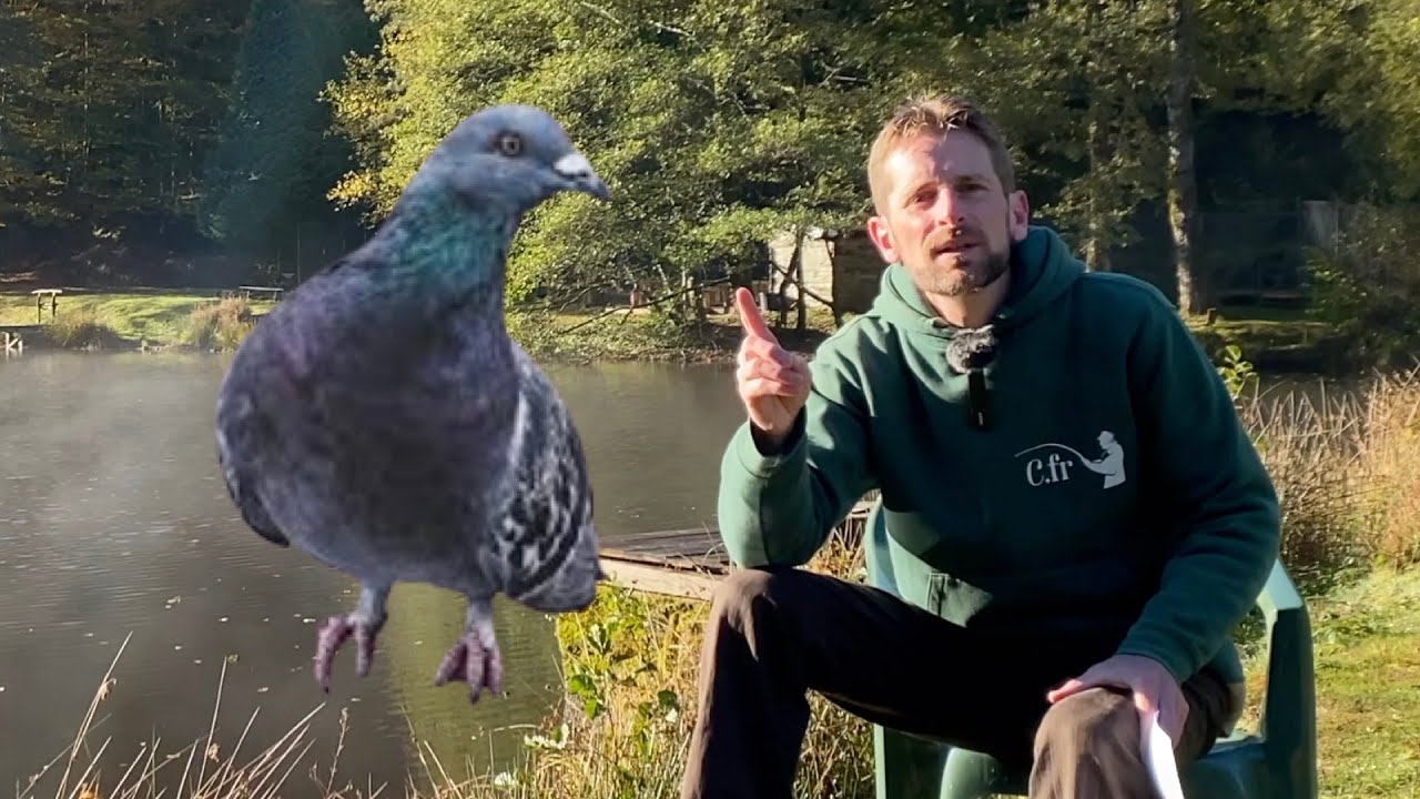 La Recette Secrète de l'Amorce à la Fiente de Pigeon