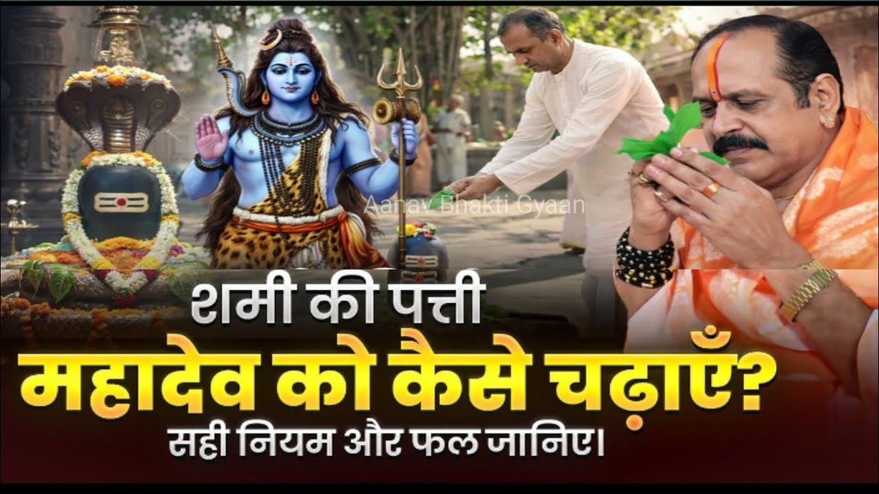 शमी की पत्ती महादेव को कैसे चढ़ाएँ? सही नियम और फल जानिए। @panditpradeepmishraofficial 🙏🔱 शिव शंकर