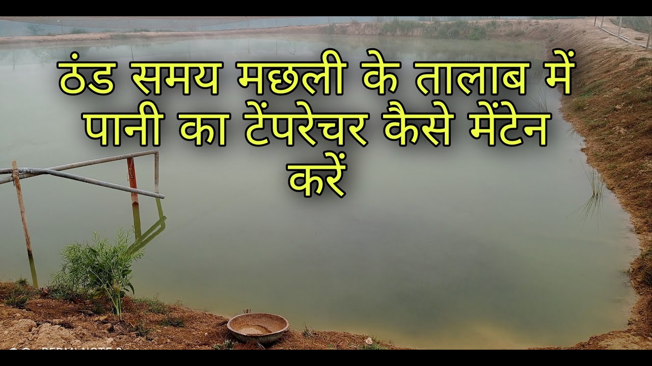 ठंड के समय मछली के तालाब के पानी का टेंपरेचर कैसे मेंटेन करें।  temperature of fish pond water।