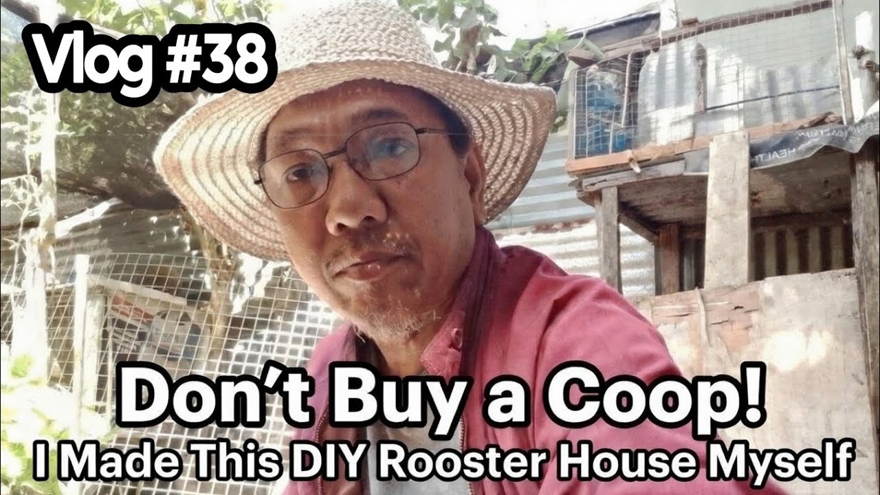 Vlog #38 | Don’t Buy a Coop! I Made This DIY Rooster House Myself | Simple Loft Vlog | Rooster Vlog