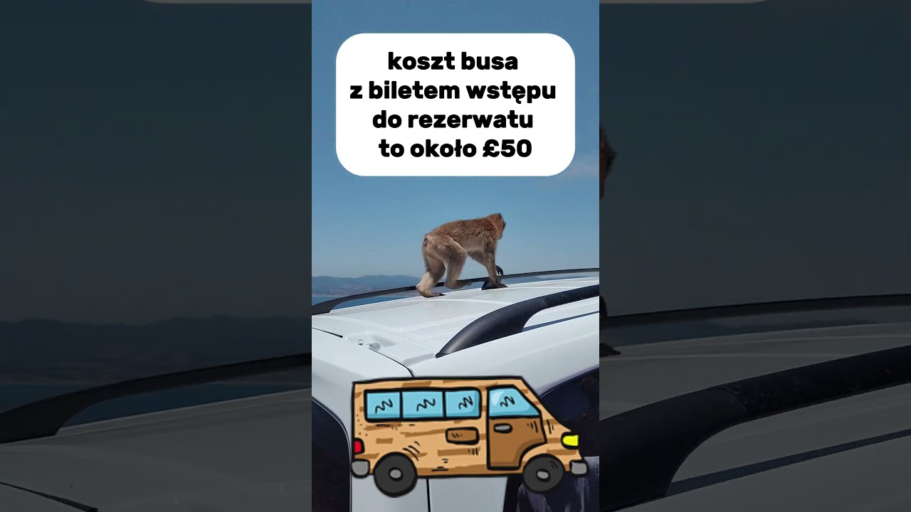 Gibraltar plan zwiedzania z dziećmi w jeden dzień - małpy, kolejka, skała, skywalk i inne atrakcje.