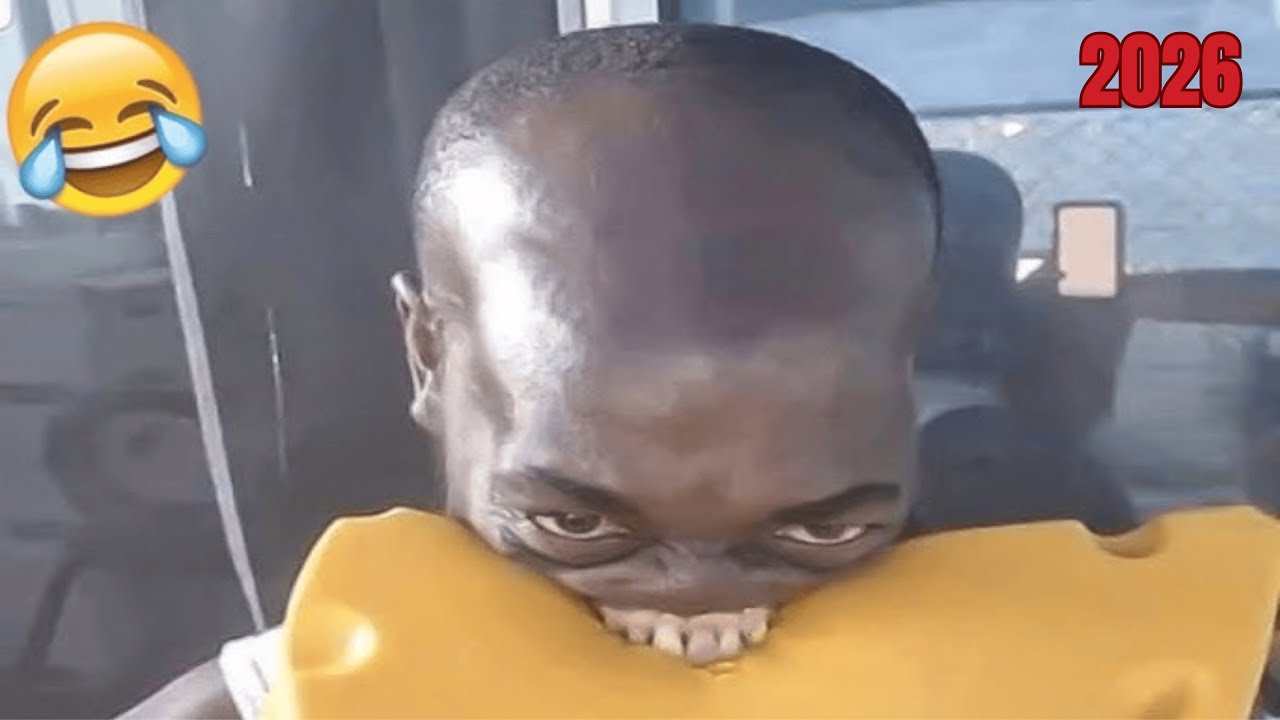 New TRY NOT TO LAUGH Challenge of The Week 😂 Funniest Compilation 2026 Funny Video😂