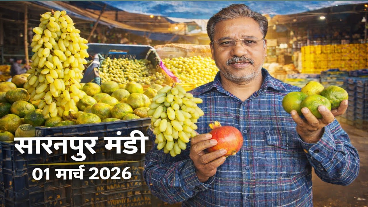 1 मार्च 2026 | सहारनपुर फल मंडी का आज का पूरा हाल | Ground Report