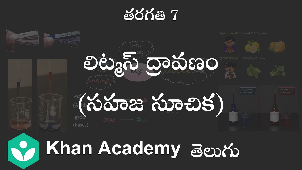Litmus solution (Natural indicator) [Telugu] | Acids, bases and salts| Class 7| Science |KhanAcademy