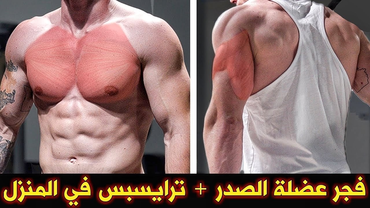 هكذا قمت بتضخيم وتعريض عضلة الصدر مع ترايسبس فقط في المنزل [ فيديو رهيييب جداً ]