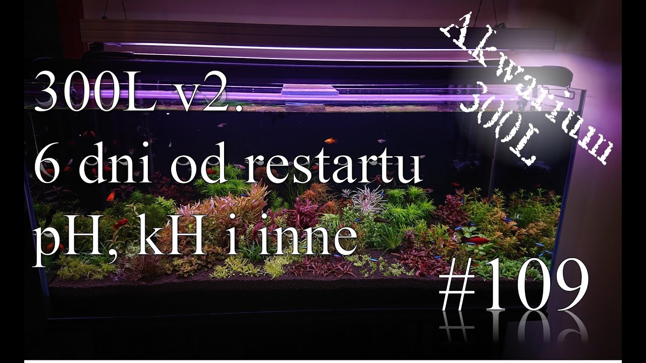 Akwarystyka 109 - 6 dni od restartu kH, pH i podmianka + rośliny