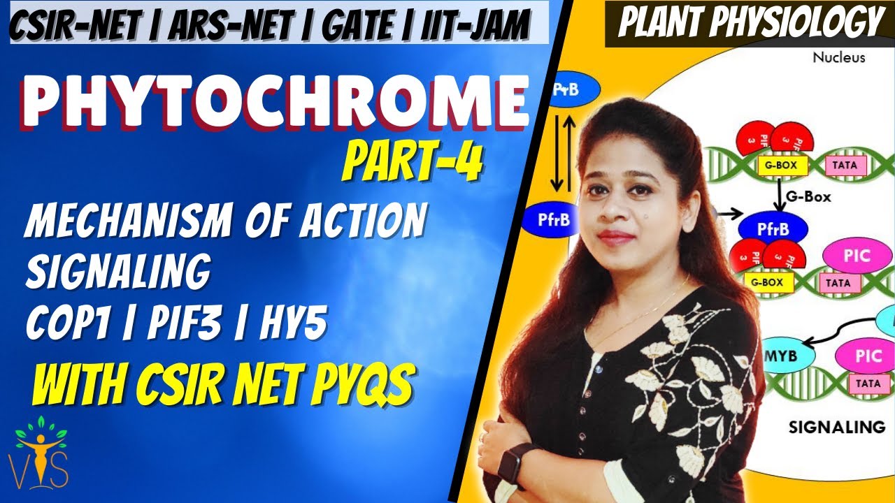 Phytochrome  -4 | Phytochrome CSIR NET  | Phytochrome Signaling | Plant Physiology CSIR NET PYQ