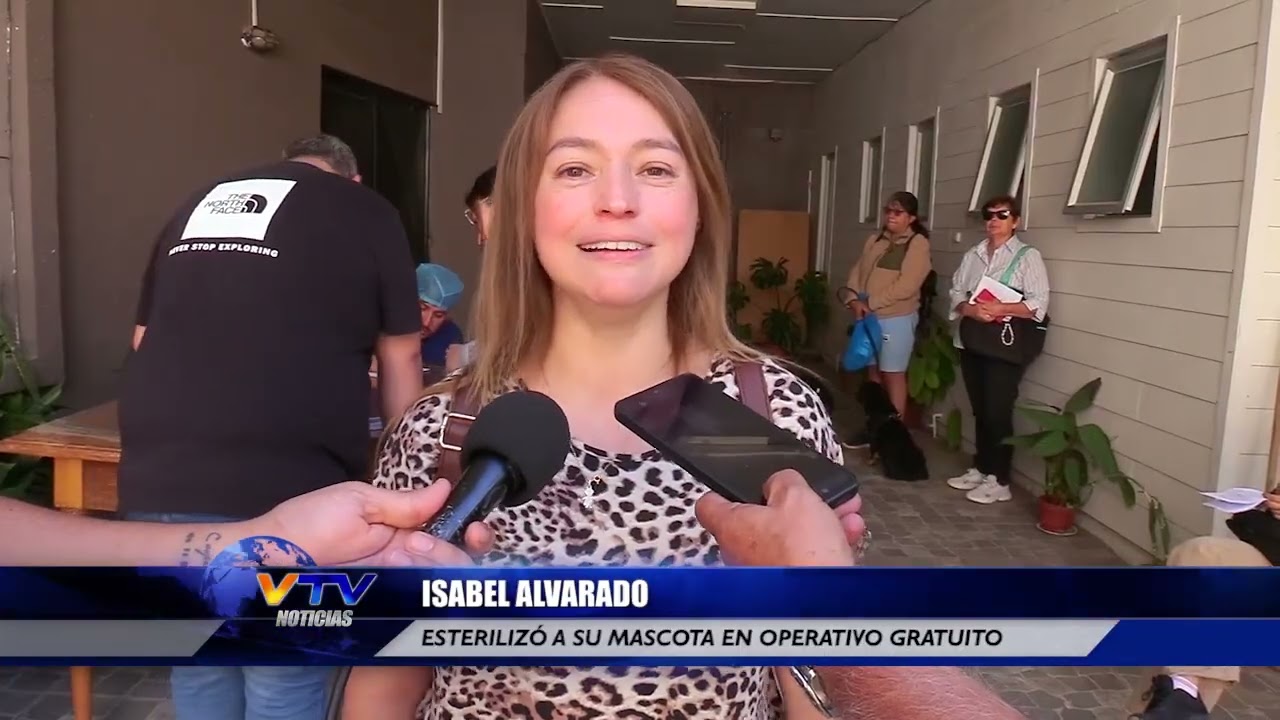 Operativo gratuito permitió esterilizar a 50 mascotas de Los Andes
