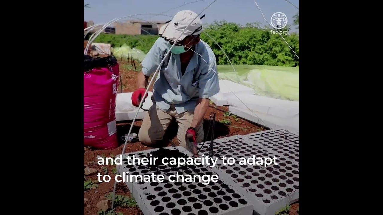 Climate action and human rights: building sustainable agrifood systems