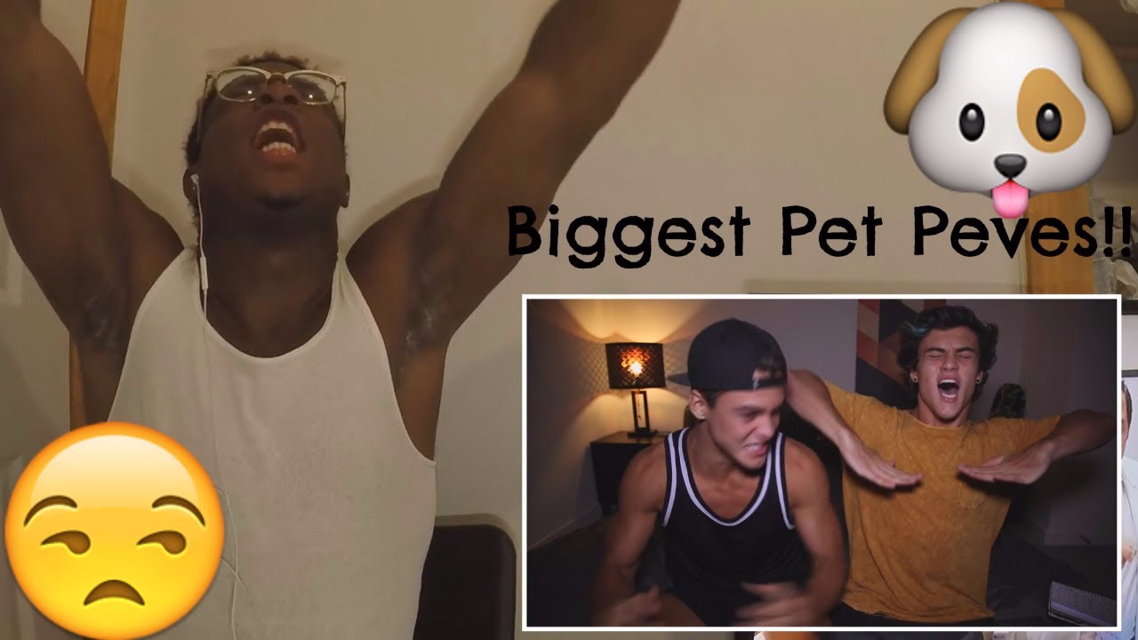 OUR BIGGEST PET PEEVES - Dolan Twins | REACTION