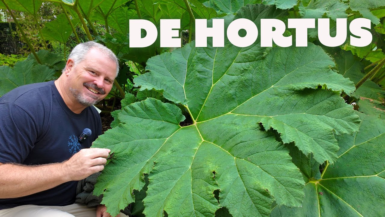 Amsterdam Garden Tour - De Hortus