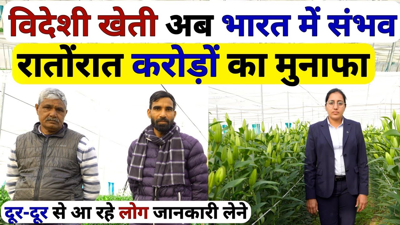 विदेशी खेती से🤔भारत में करोड़ों की कमाई | Farming Business Ideas | Profitable Farming | Lilium kheti