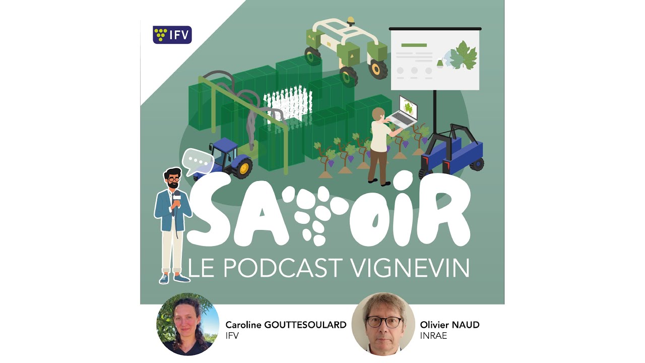 #S2 E5 Biocontrôle et pulvérisation : à quoi ressemblera la protection du vignoble demain ?