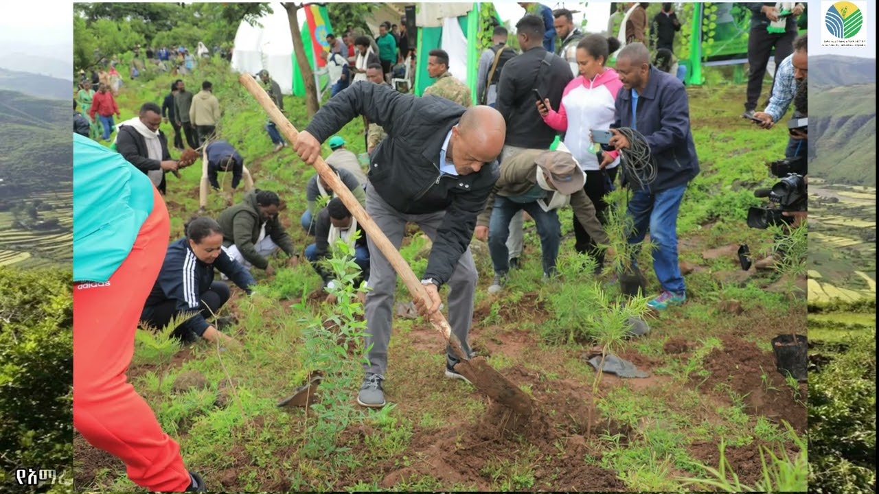 የአማራ ክልል ግብርና ቢሮ የተቀናጀ ተፋሰስ ልማት ቱርፋቶች 2017  ዓ ም