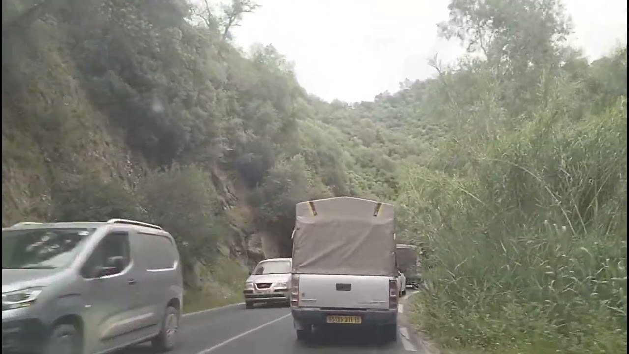 شاهد جمال طبيعة و الطريق بين الغابات البويرة بومرداس تيزي وزو #السياحه_الداخليه في الجزائر