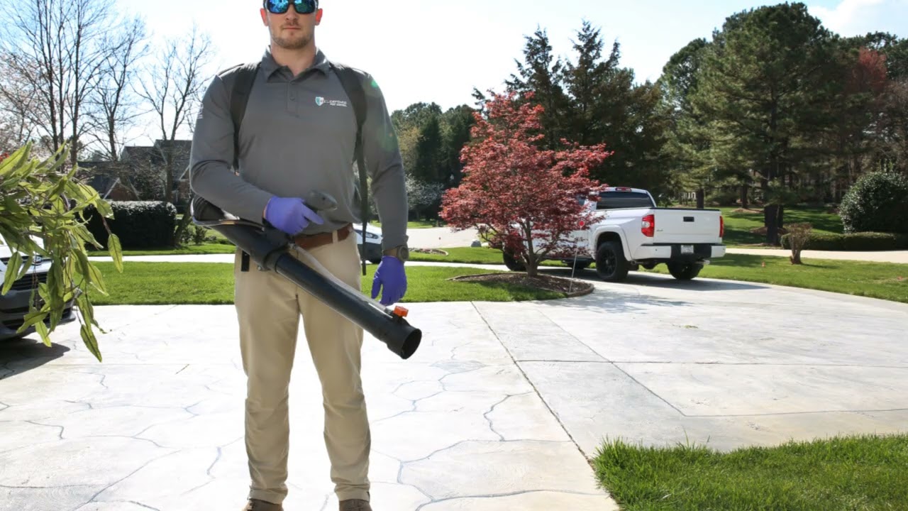 Expert Exterminators for Pest & Ant Control | ClearDefense Pest Control Charlotte