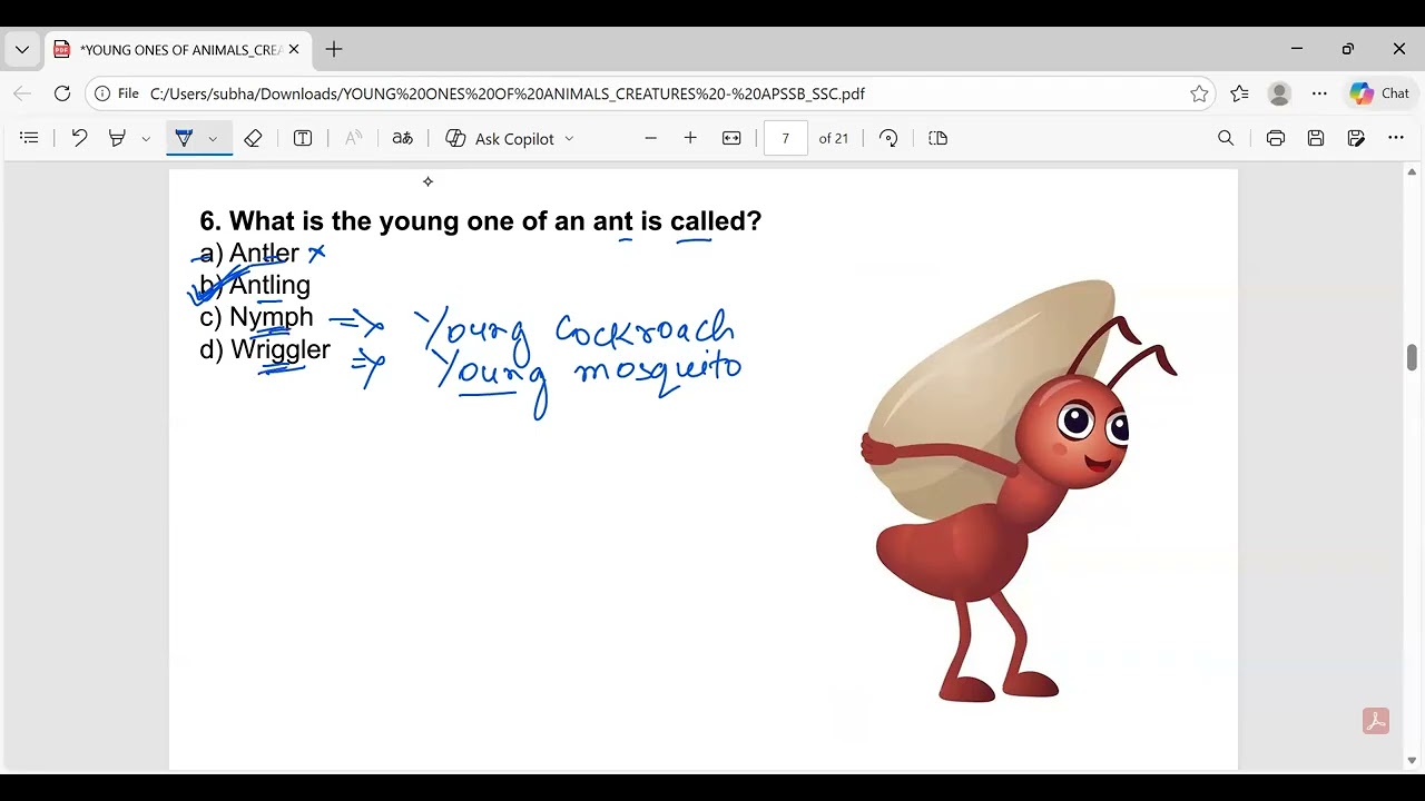 Confusing Young Ones of Animals | SSC Favourite MCQs Explained #ssc #apssb #english