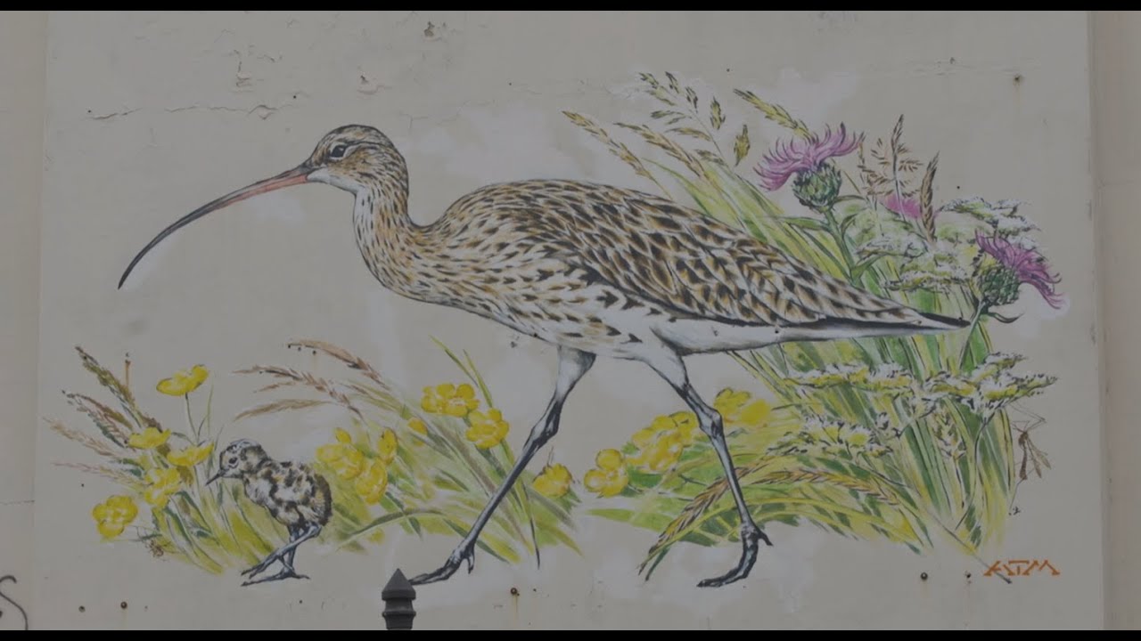 World Curlew Day 2025 - Stroud Mural