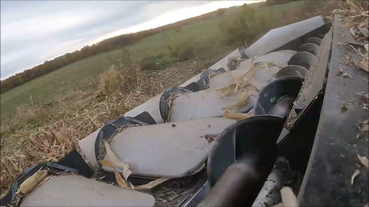 November 4th and the Corn Harvest Continues.