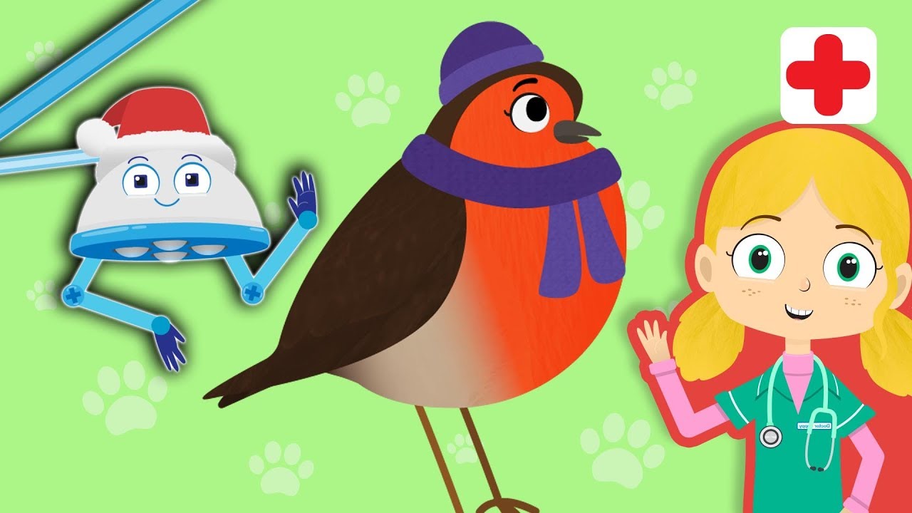 Twinkle The Robin Visits Dr Poppy's Pet Rescue | Animals For Kids
