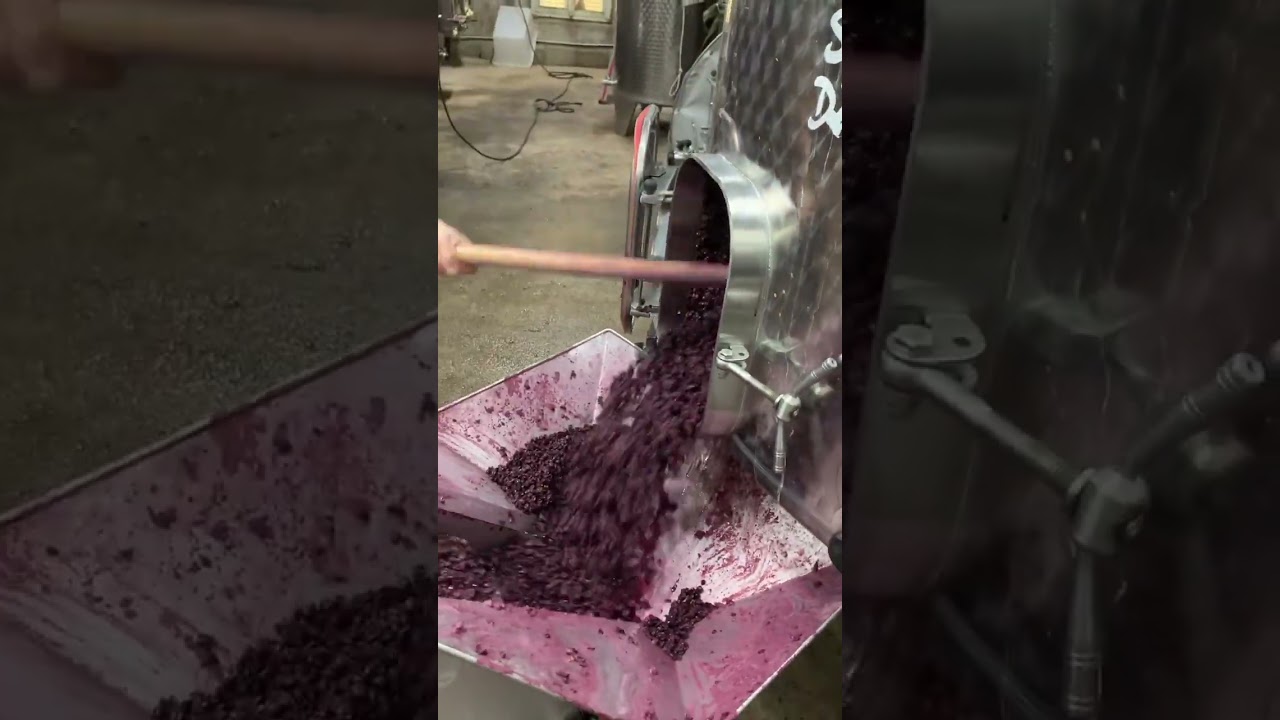 After maceration, the grapes are prepared for pressing 🍇😍@domainegrivot