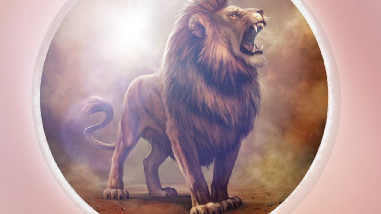 Reflectie - Lion of Juda