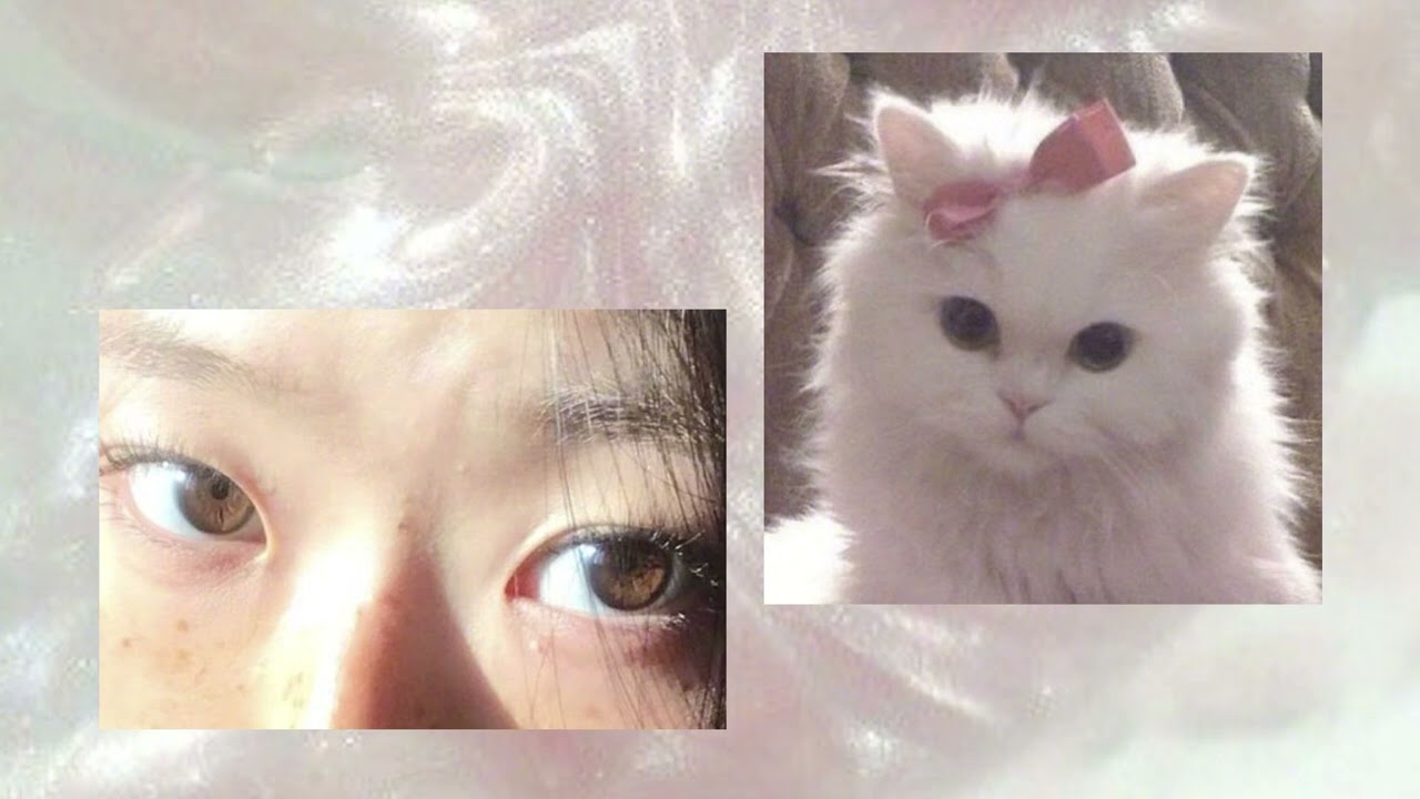 [𝐩𝐥𝐚𝐲𝐥𝐢𝐬𝐭]  도쿄 산책