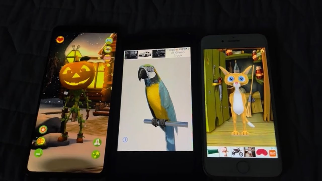 Talking Pumpkin Wizard Echo Vs Talking Parrot Echo Vs Talking Calvin The Kitty Cat Echo (10/23/2025)