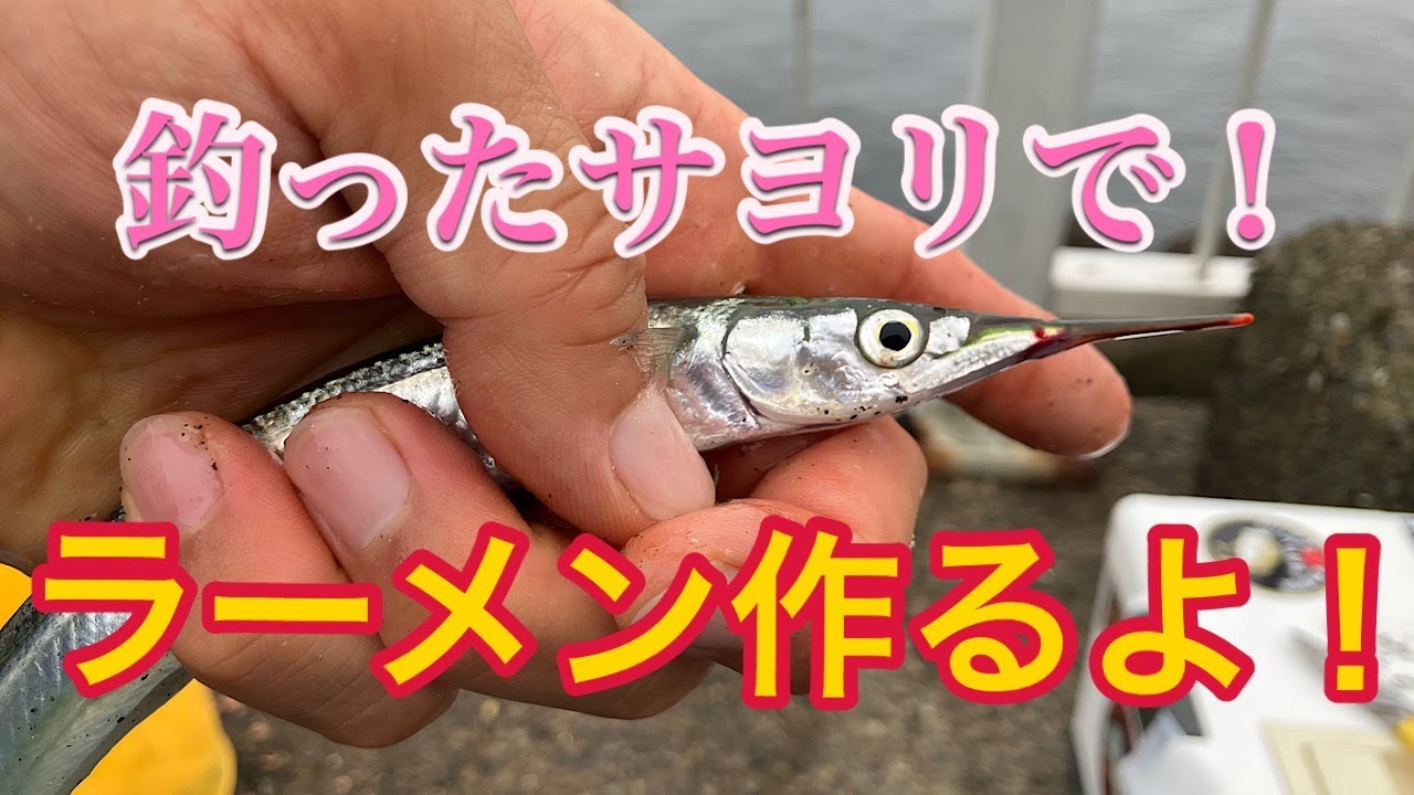 釣った魚でラーメン作ろう♪３【サヨリらーめん】