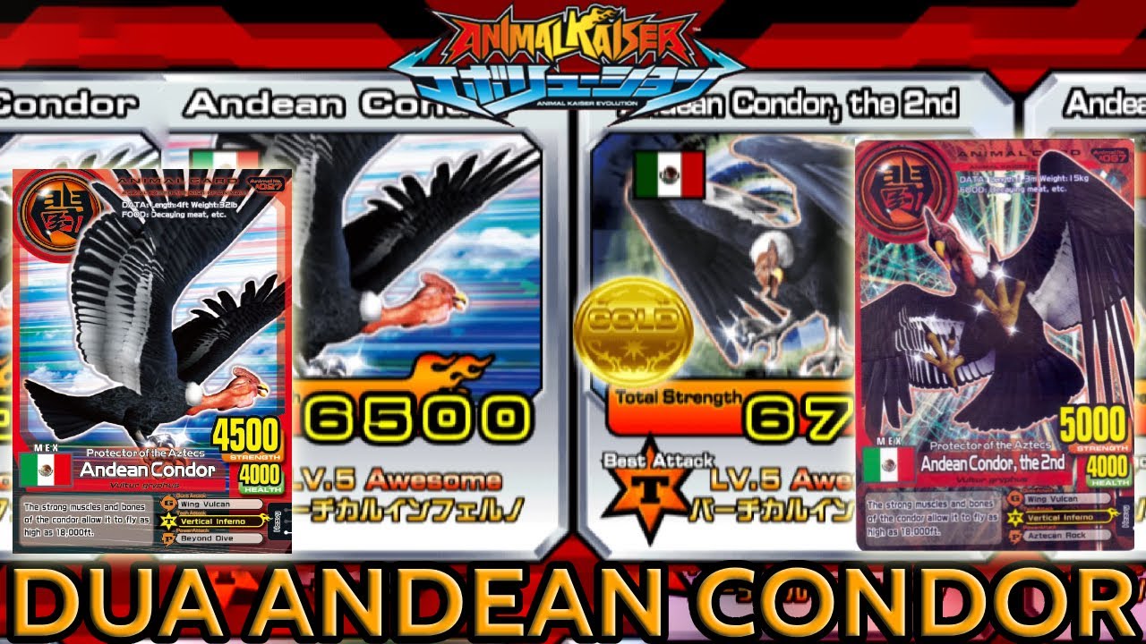 SIAPA ANDEAN CONDOR ASLI ??? PERTARUNGAN PELINDUNG AZTEC !!! - ANIMAL KAISER EVOLUTION PC