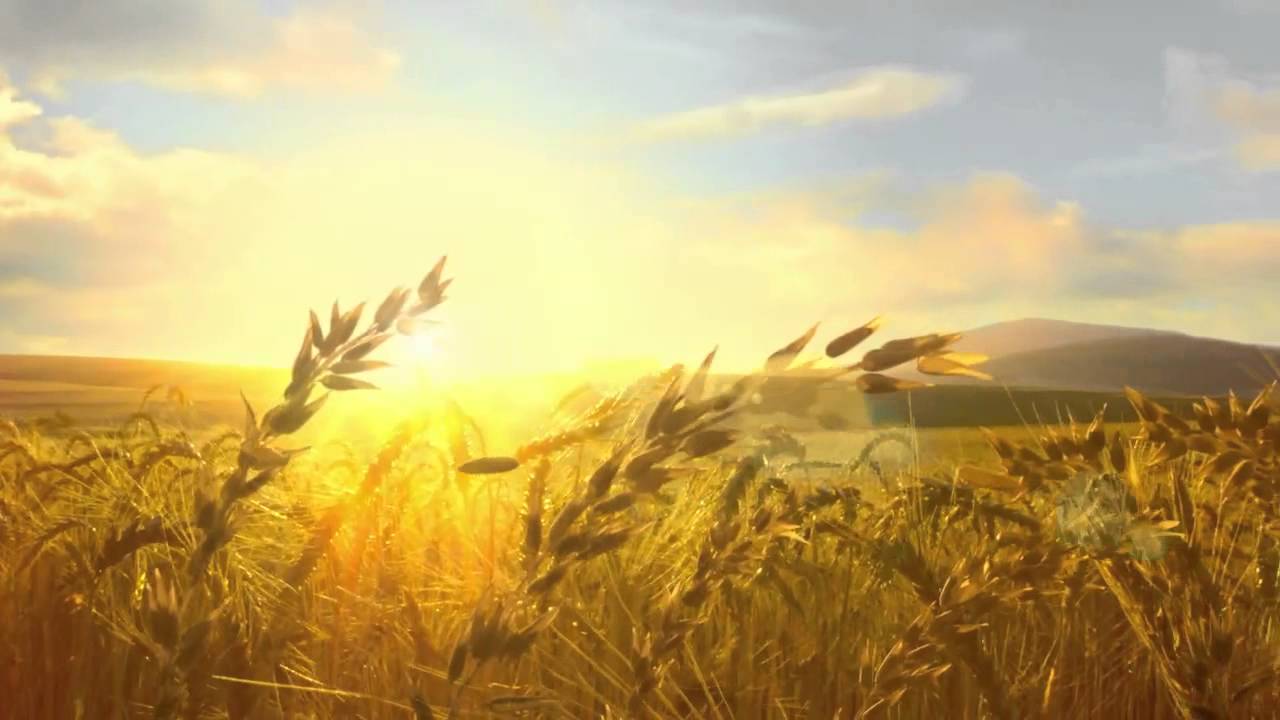 NutriChoice Heavens TVC