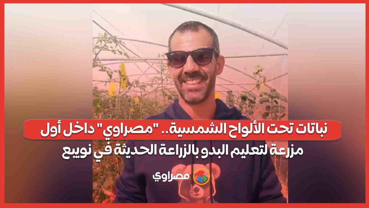 نباتات تحت الألواح الشمسية.. 