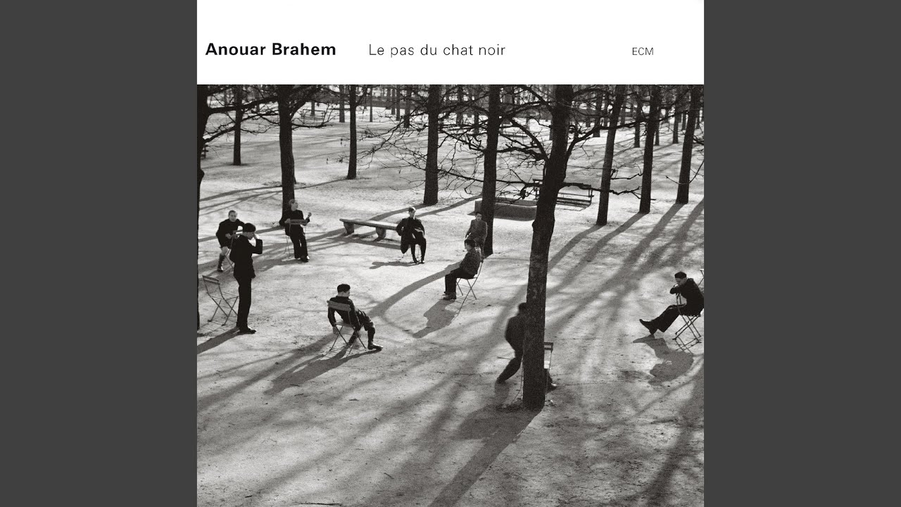 Le pas du chat noir