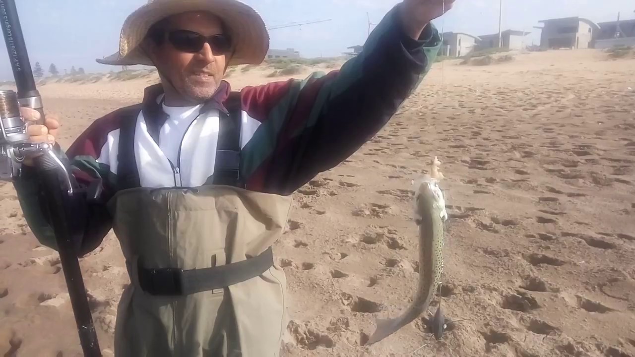 Peche loup bar mouchet&eacute; Surfcasting صيد سمكة ابلاغ بالقصبة