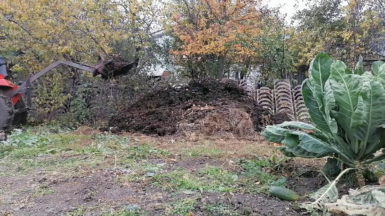 Погрузка навоза с самодельный погрузчиков сСинтаем244.