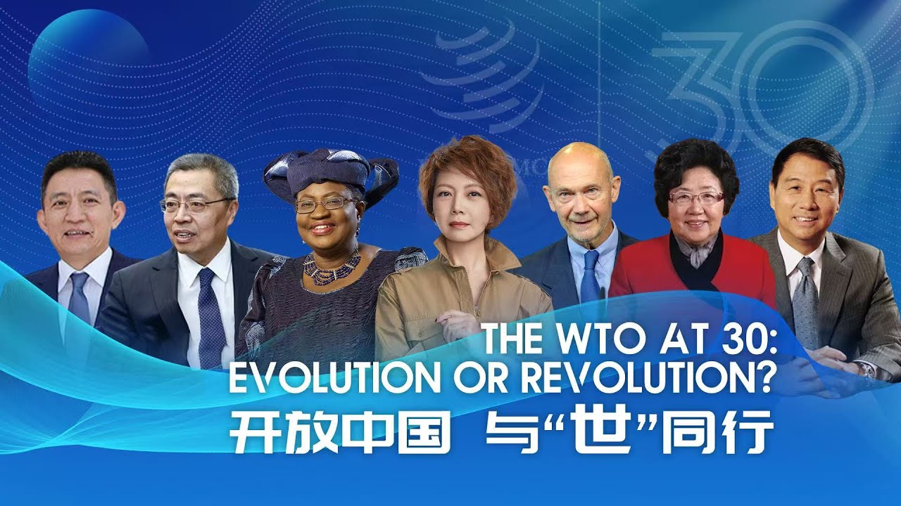The WTO at 30: Evolution or revolution?