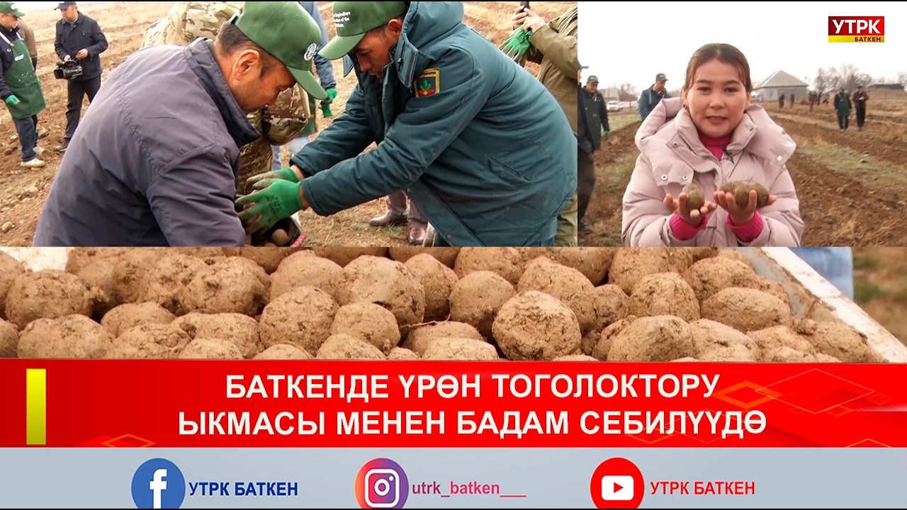 БАТКЕНДЕ ҮРӨН ТОГОЛОКТОРУ ЫКМАСЫ МЕНЕН БАДАМ СЕБИЛҮҮДӨ